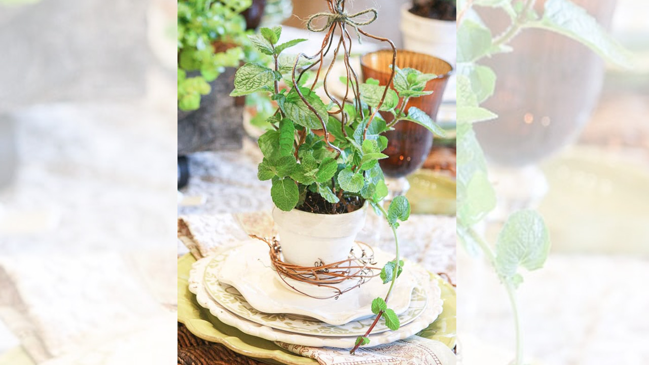 Herbs as Easter Centerpiece