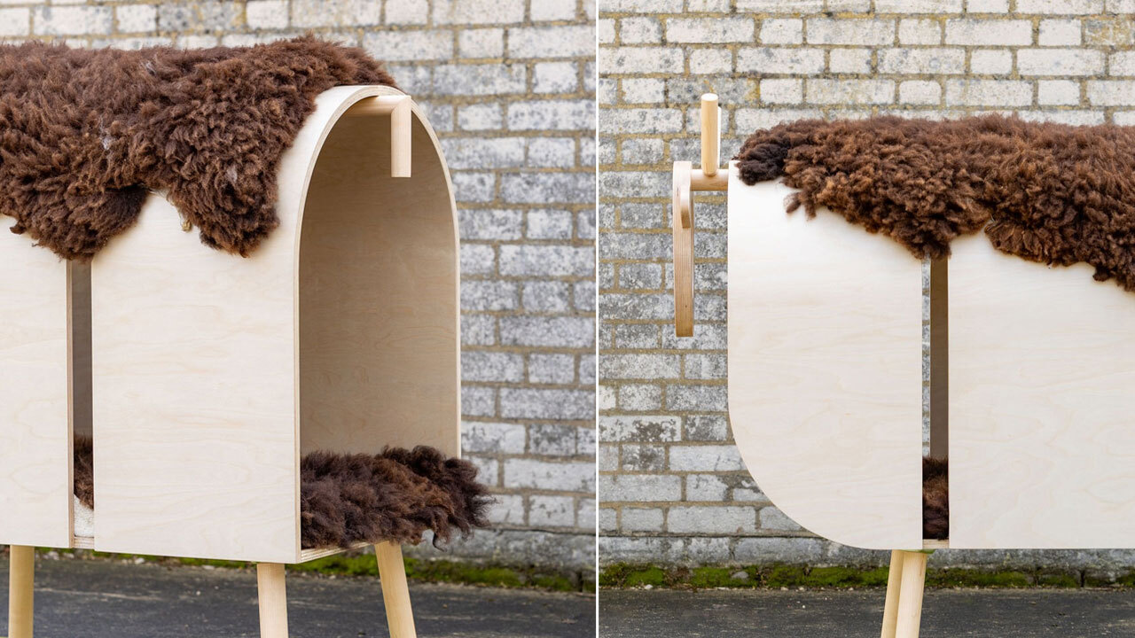 A Whippet in Sheep's Clothing at Barkitecture 2025