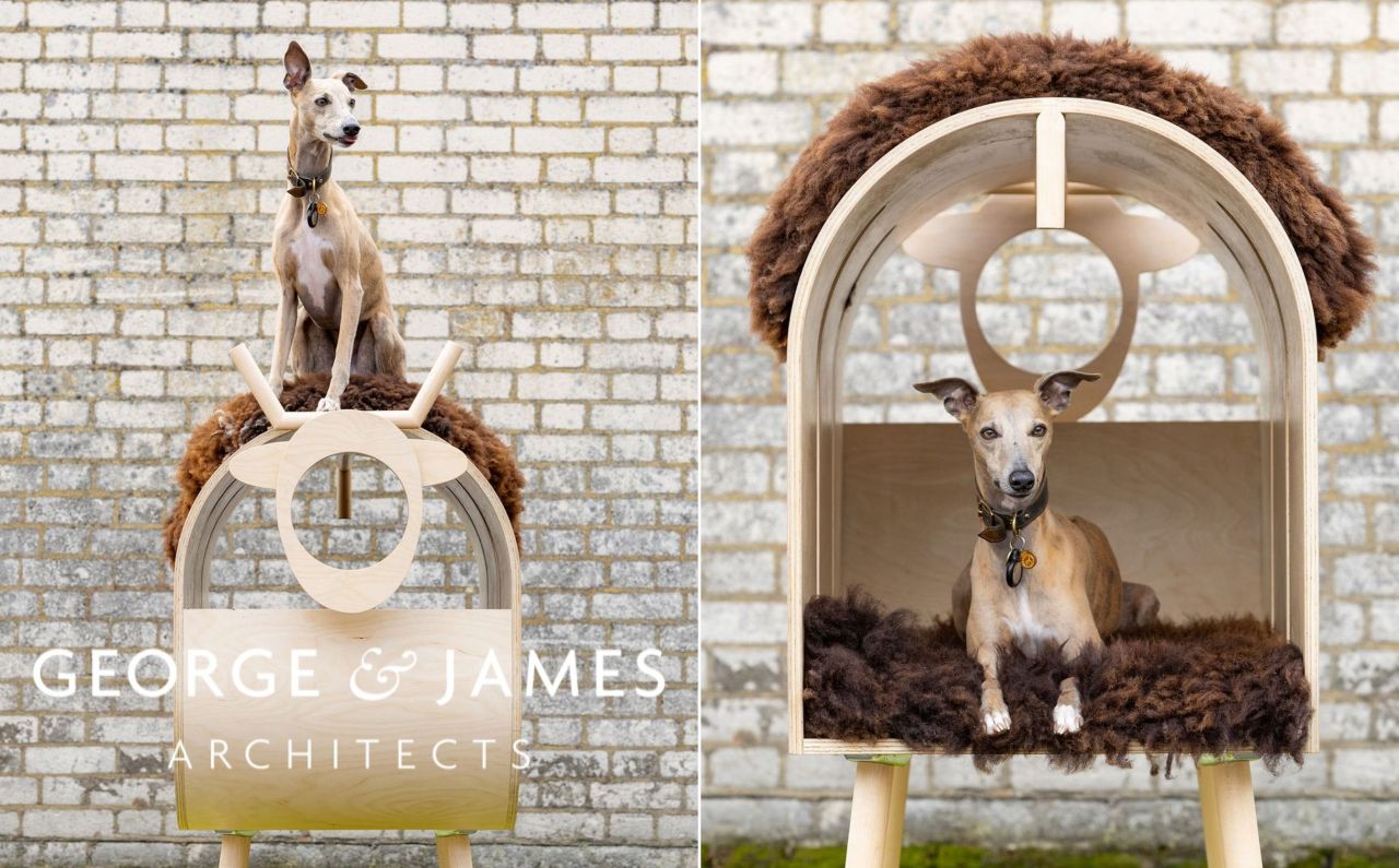 A Whippet in Sheep's Clothing at Barkitecture 2025