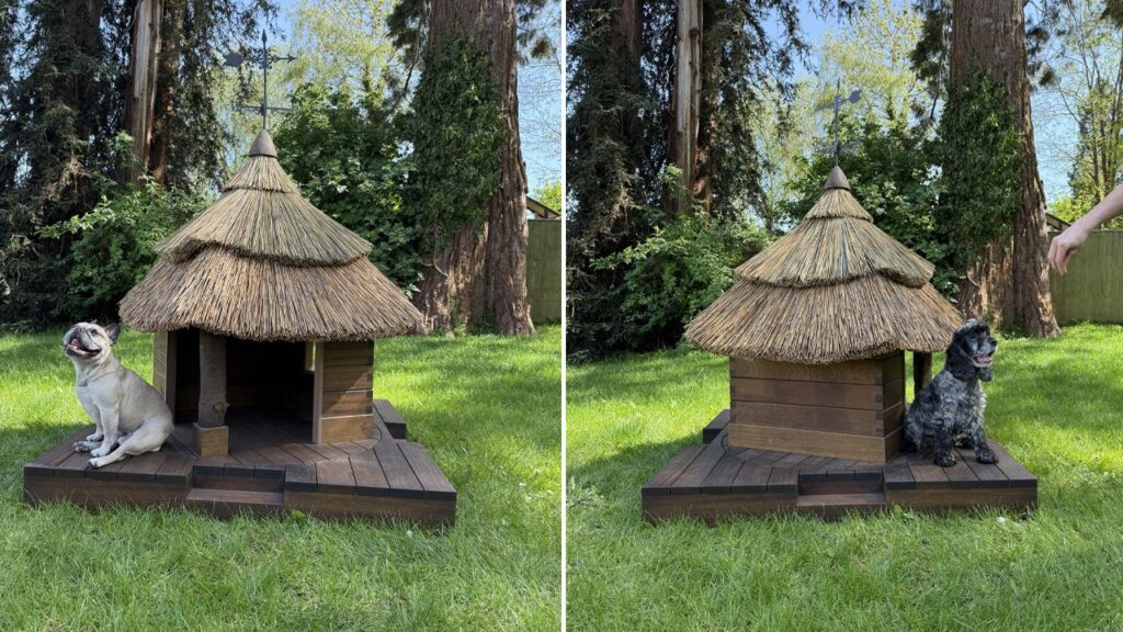 Enduring Tradition and Barkitecture 2025