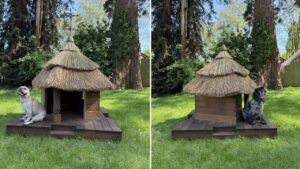 Enduring Tradition and Barkitecture 2025
