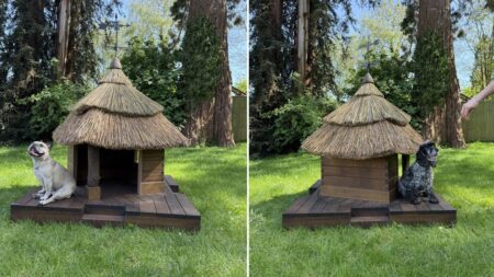 Enduring Tradition and Barkitecture 2025