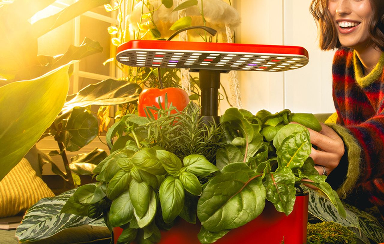 AeroGarden Harvest Lite Hydroponic Garden