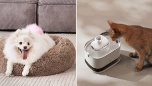 Amazon Pet Day 2025 early Deals