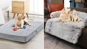Amazon Pet Day Sale 2025 -Best Dog Bed Deals