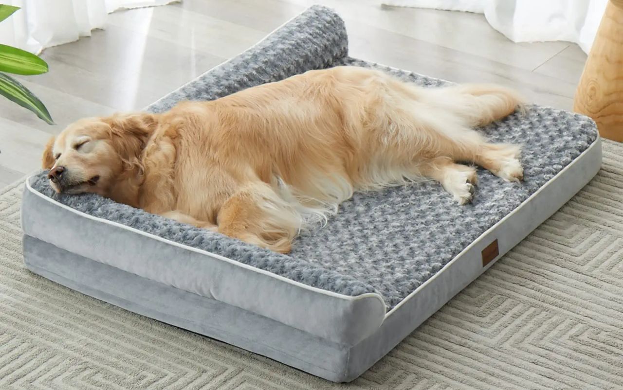 BFPETHOME Orthopedic Foam Dog Bed