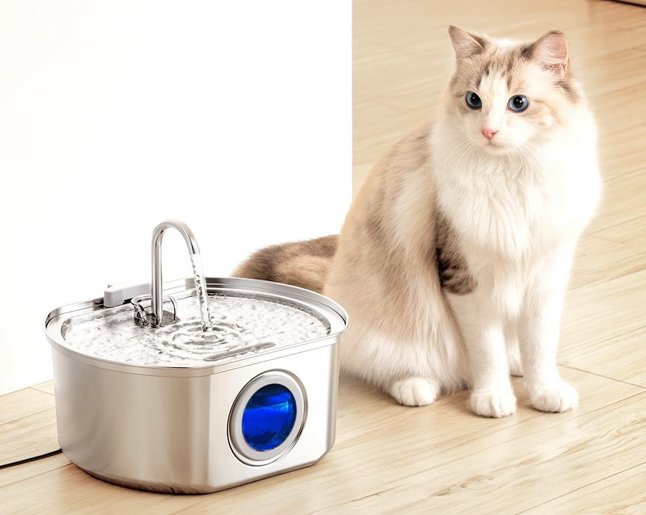 Cat Water Fountain