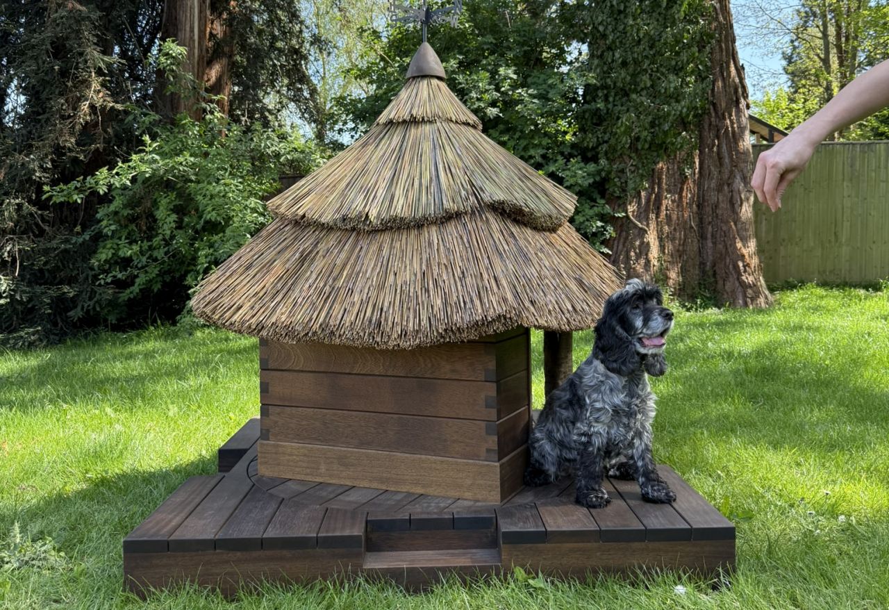 Enduring Tradition and Barkitecture 2025