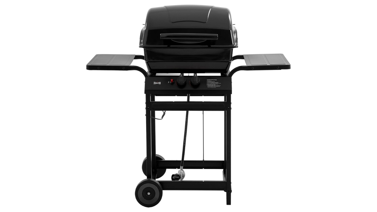 Feasto 2 Burner Propane Gas Grill