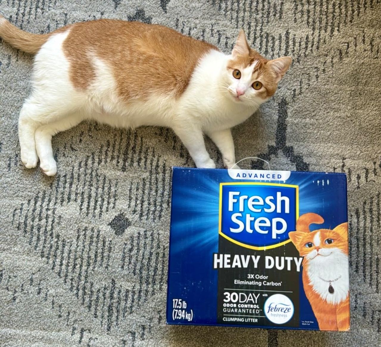 Fresh Step Advanced Clumping Litter