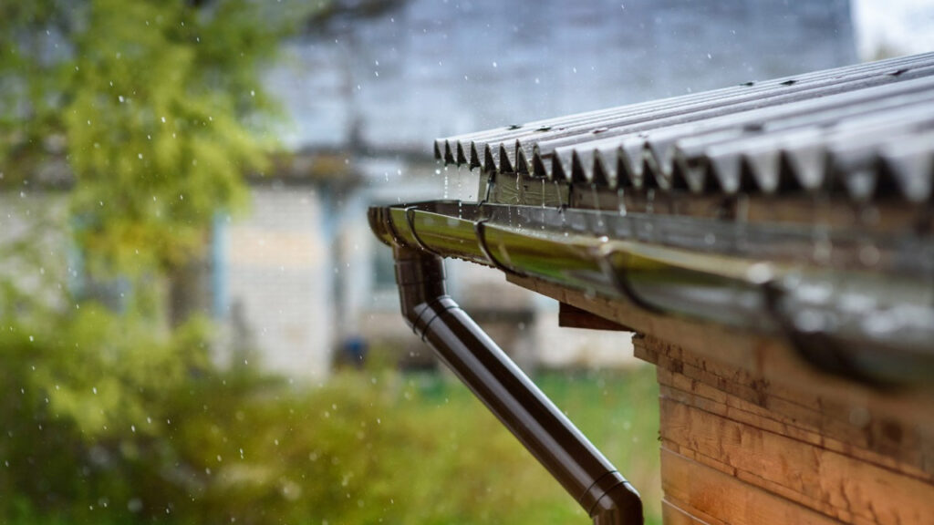 From Rain to Roots -How to Maximize Rainwater Harvesting in Your Garden