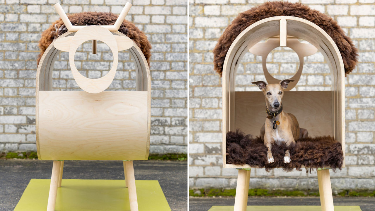 George and James Architects Ltd -A Whippet in Sheep’s Clothing