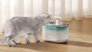 Get the best deals on cat water fountain on Amazon Pet Day Sale 2025
