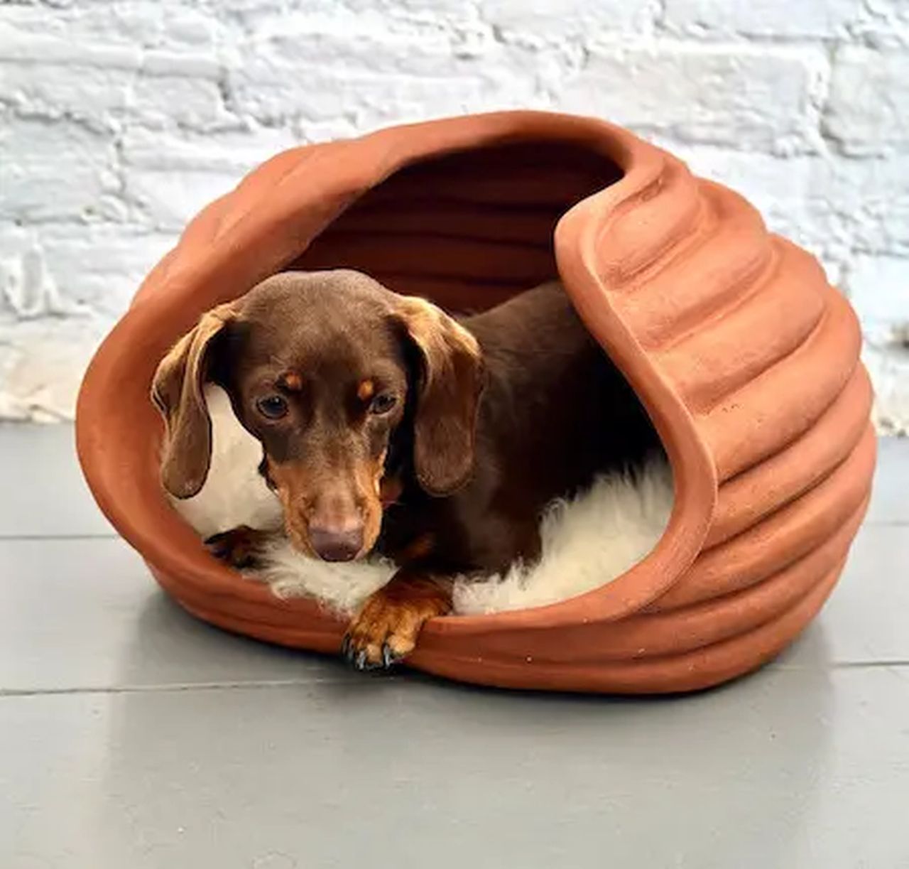 Hal l+ Bednarczyk Kennel Vessel- Kennel Vessel