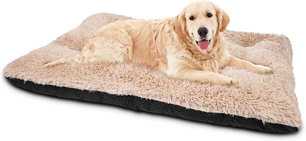 JOEJOY Ultra Soft Calming Dog Bed