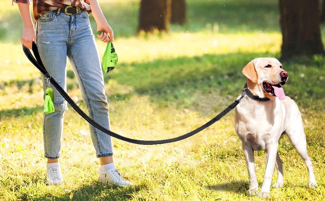 Joytale Double-Sided Reflective Dog Leash