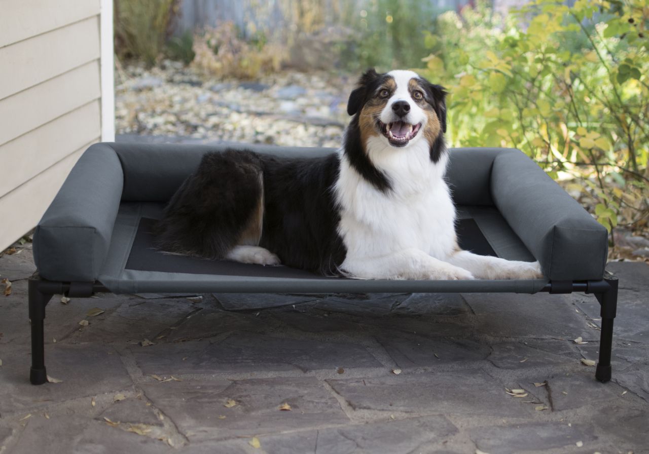 K&H Pet Products Bolster Dog Cot