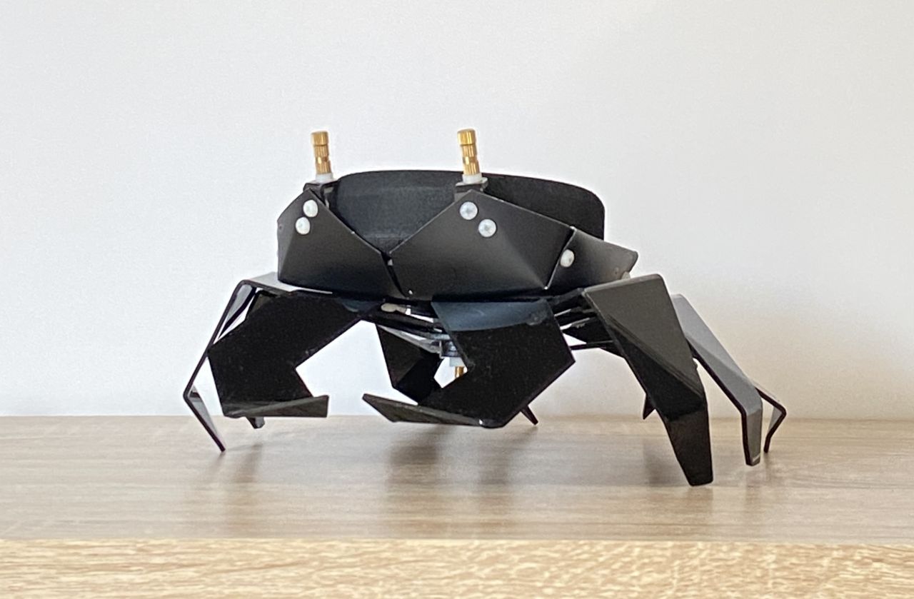 Kogani Turns Your Amazon Echo Dot Into Statement Piece