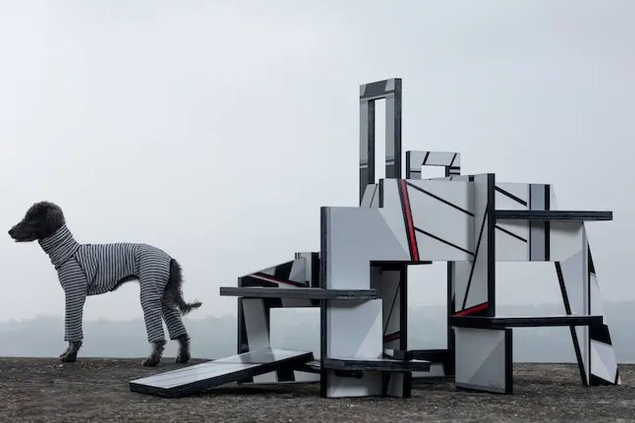 Lincoln Miles Architecture and Lisa Traxler- Dazzle Dog - Hiding in Plain Sight