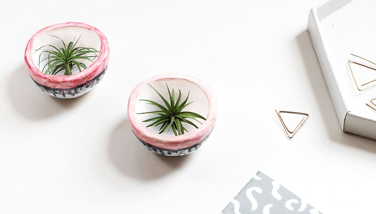 Mini DIY Plant Pots
