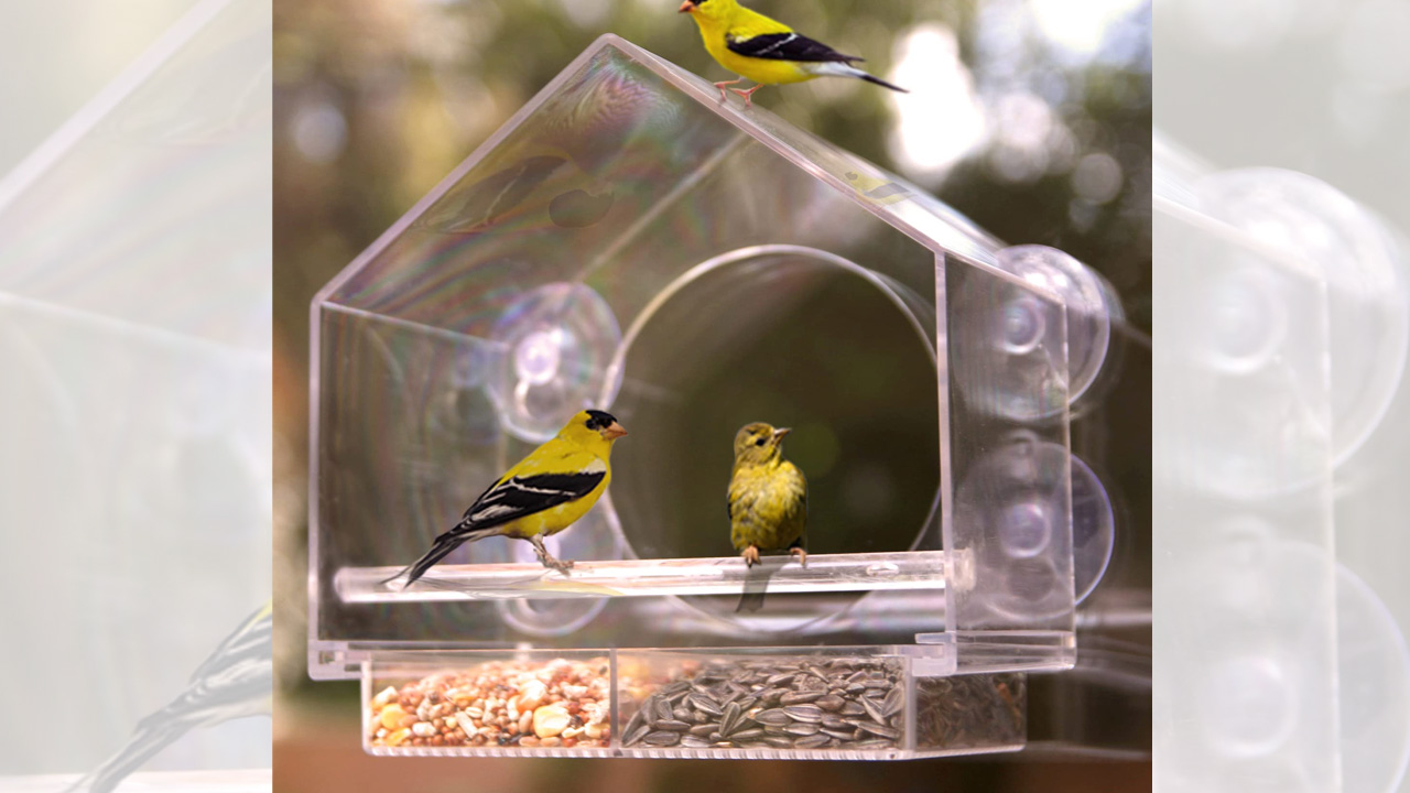 Nature Anywhere Window Bird Feeder