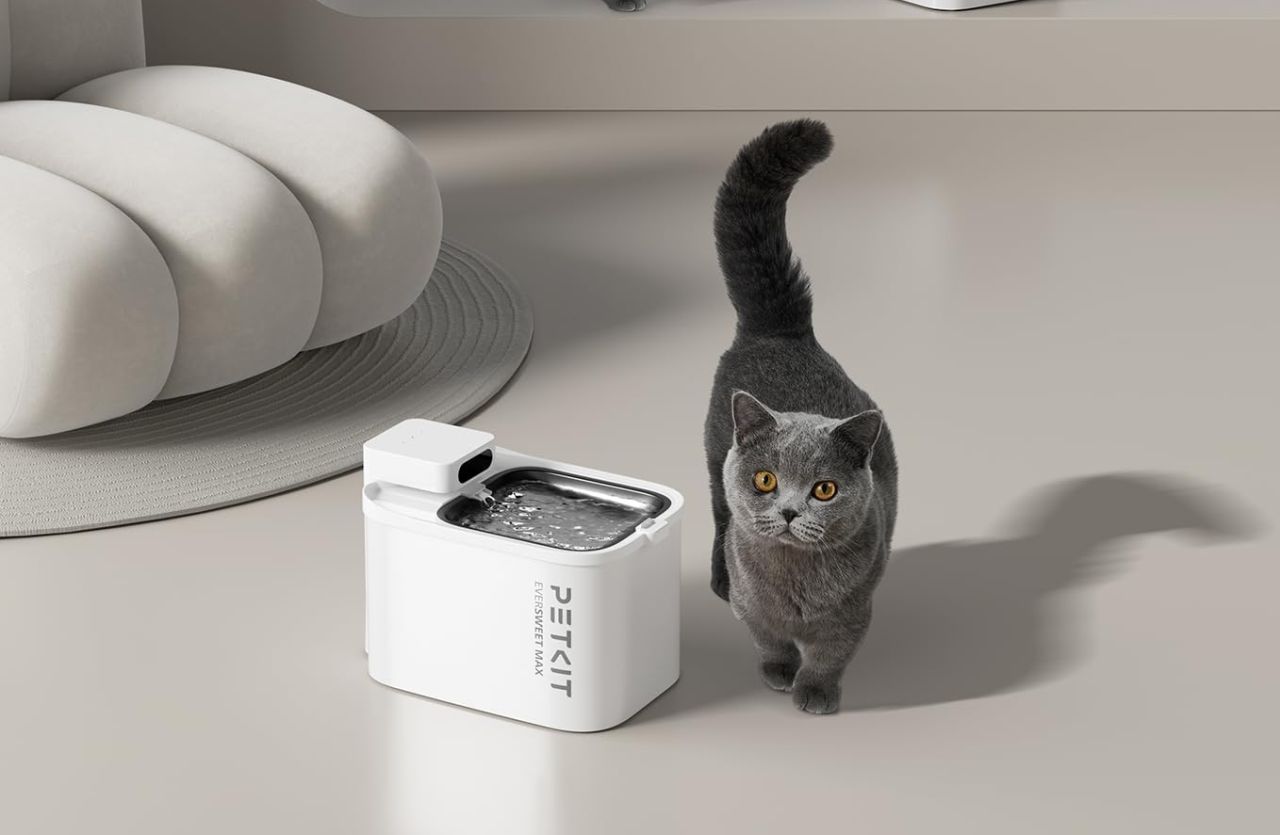PETKIT EVERSWEET MAX Cordless Cat Water Fountain