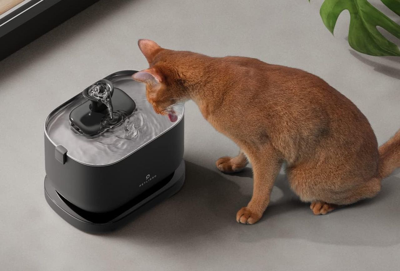 PETLIBRO Cat Water Fountain
