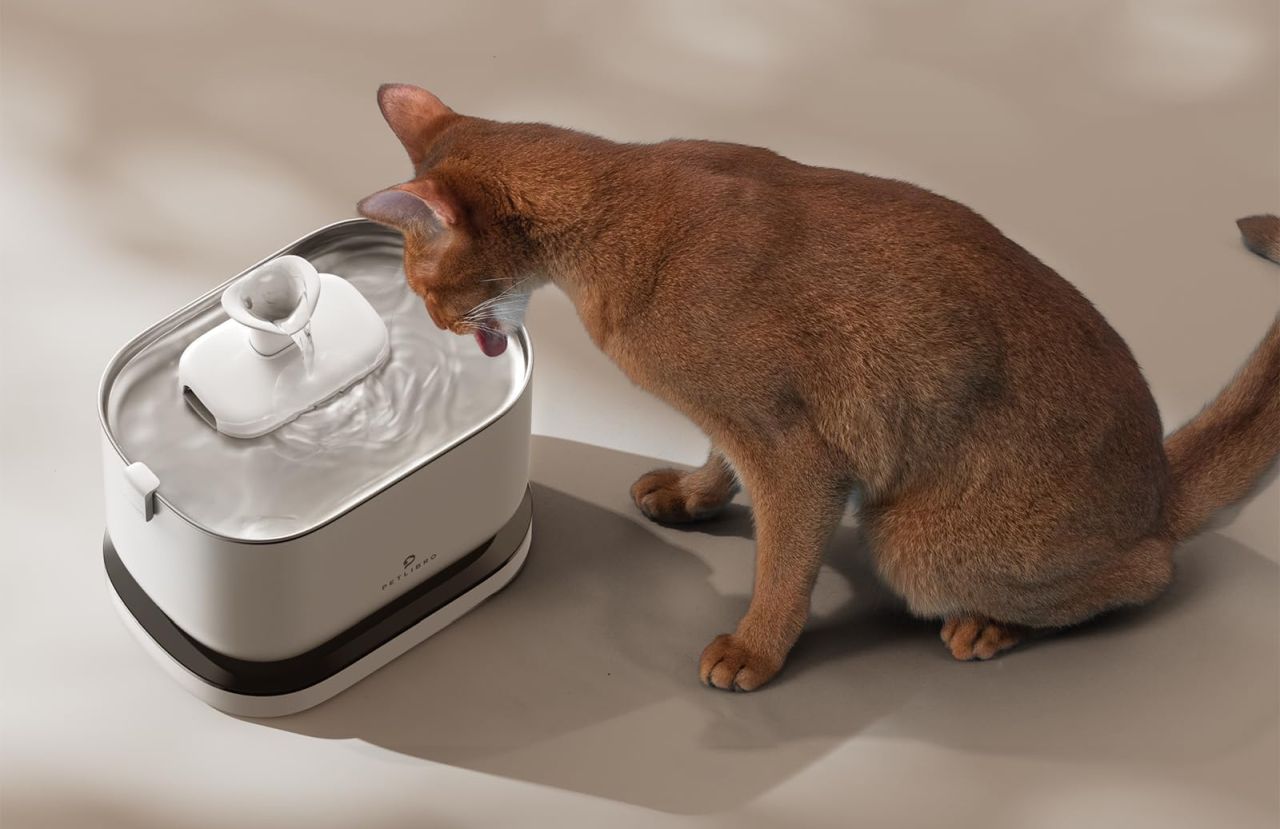 PETLIBRO Cordless Cat Water Fountain