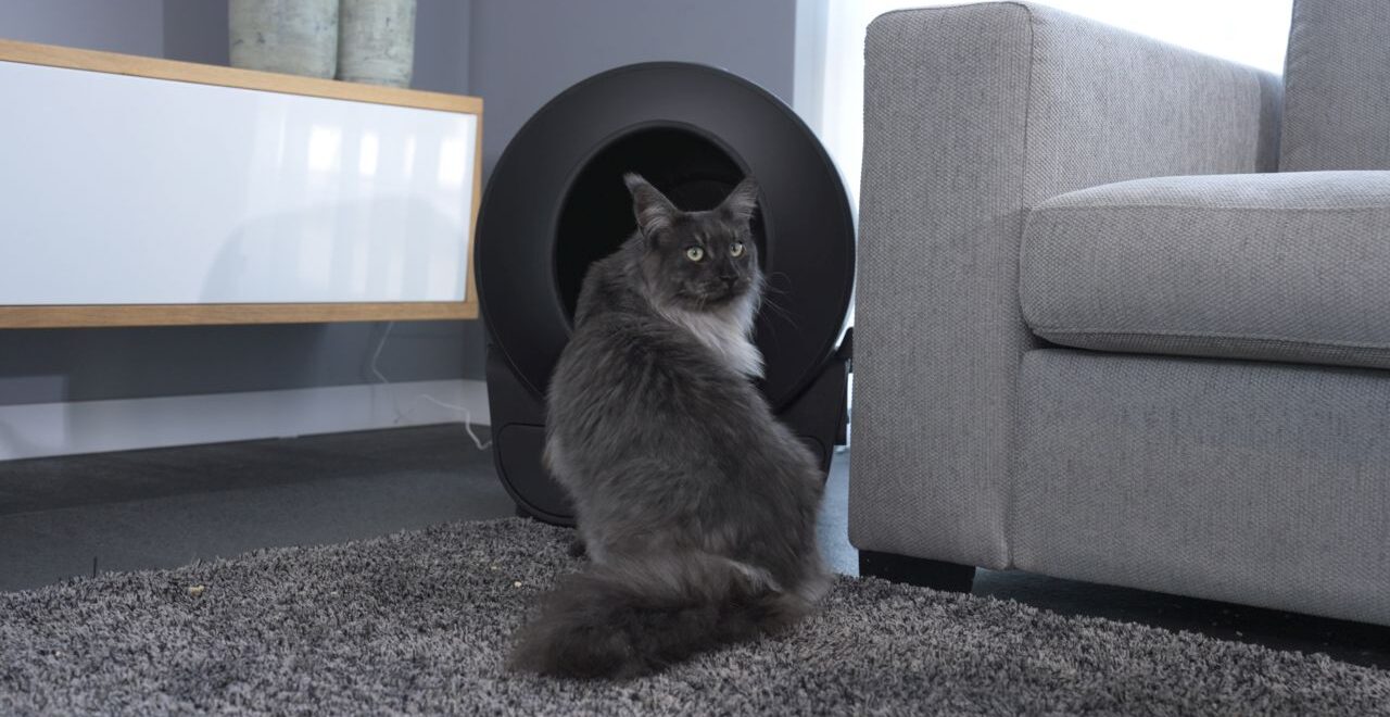 PETLUX V3 self cleaning litter box