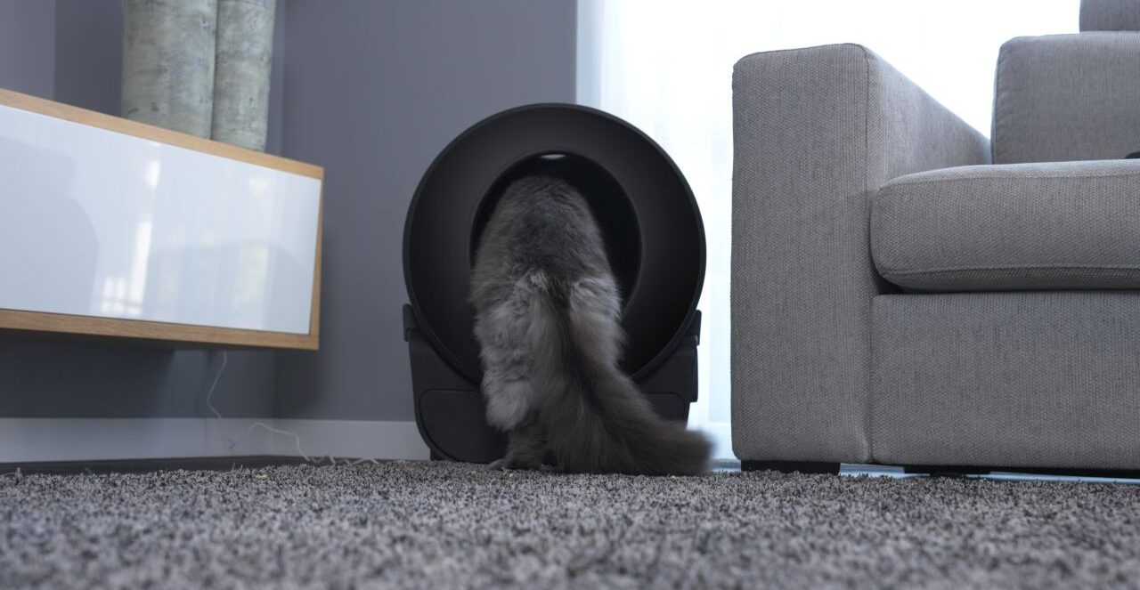 PETLUX V3 self cleaning litter box