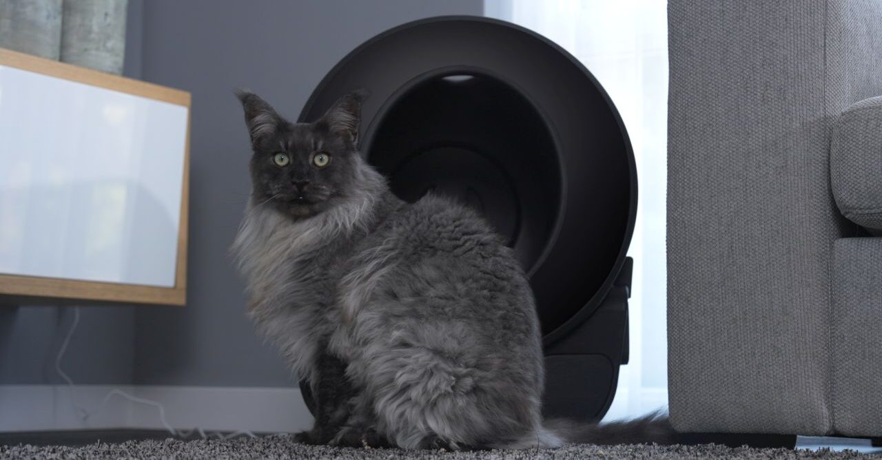 PETLUX V3 self cleaning litter box