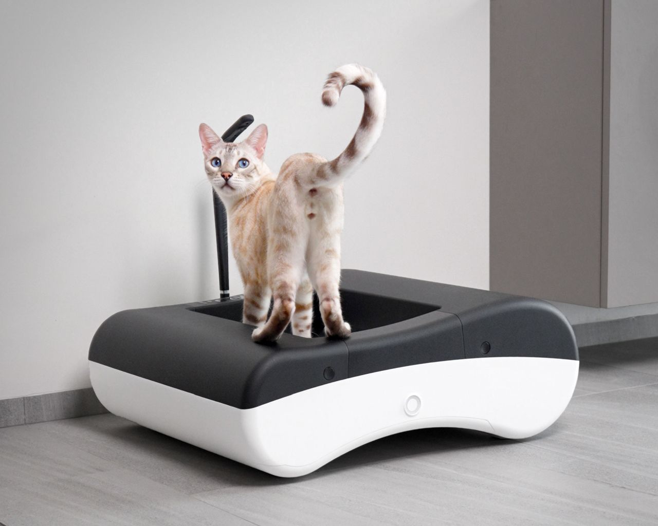 PetyPot Litter-Free Cat Toilet With Roller Pad-Based System That Auto Packs