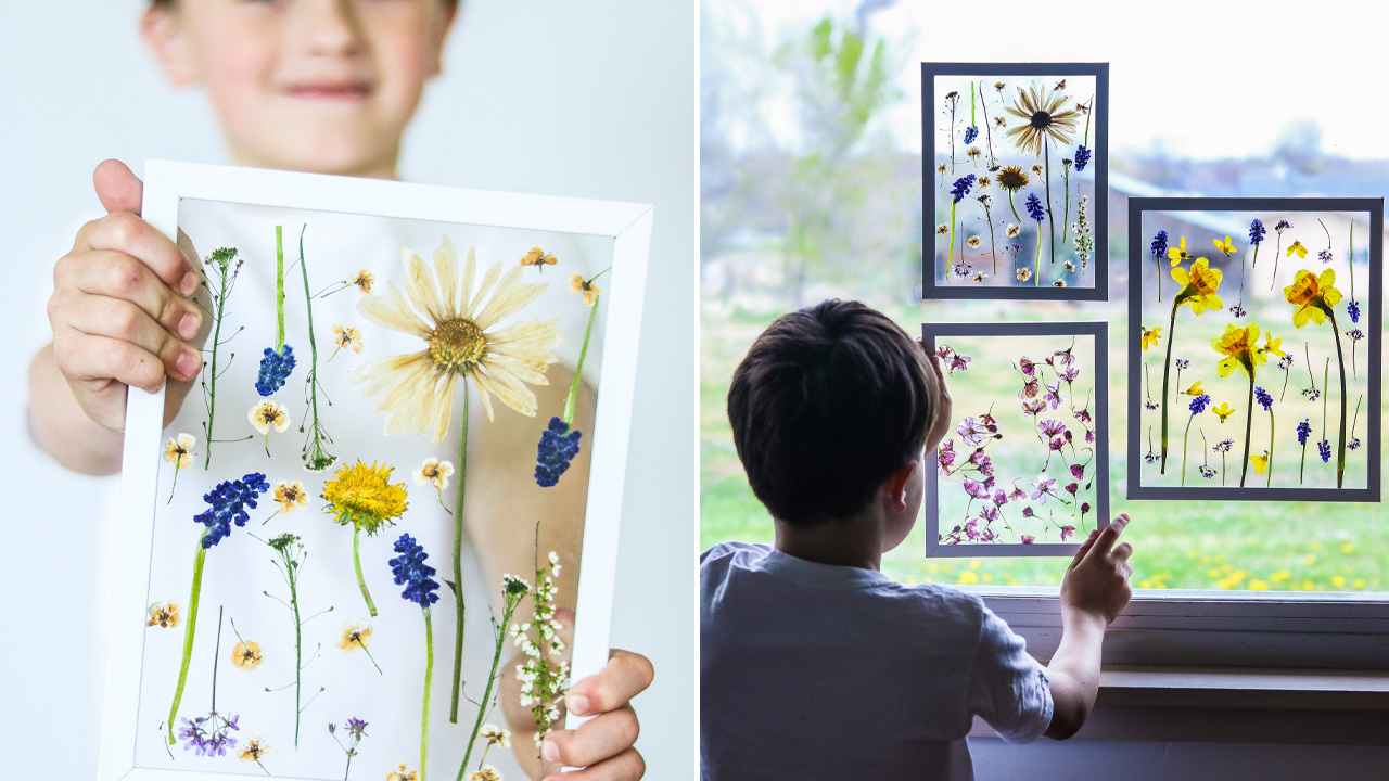Pressed Flowers