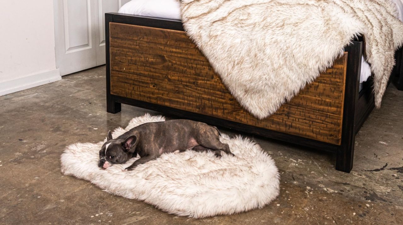 PupRug Orthopedic Dog Bed for Dogs