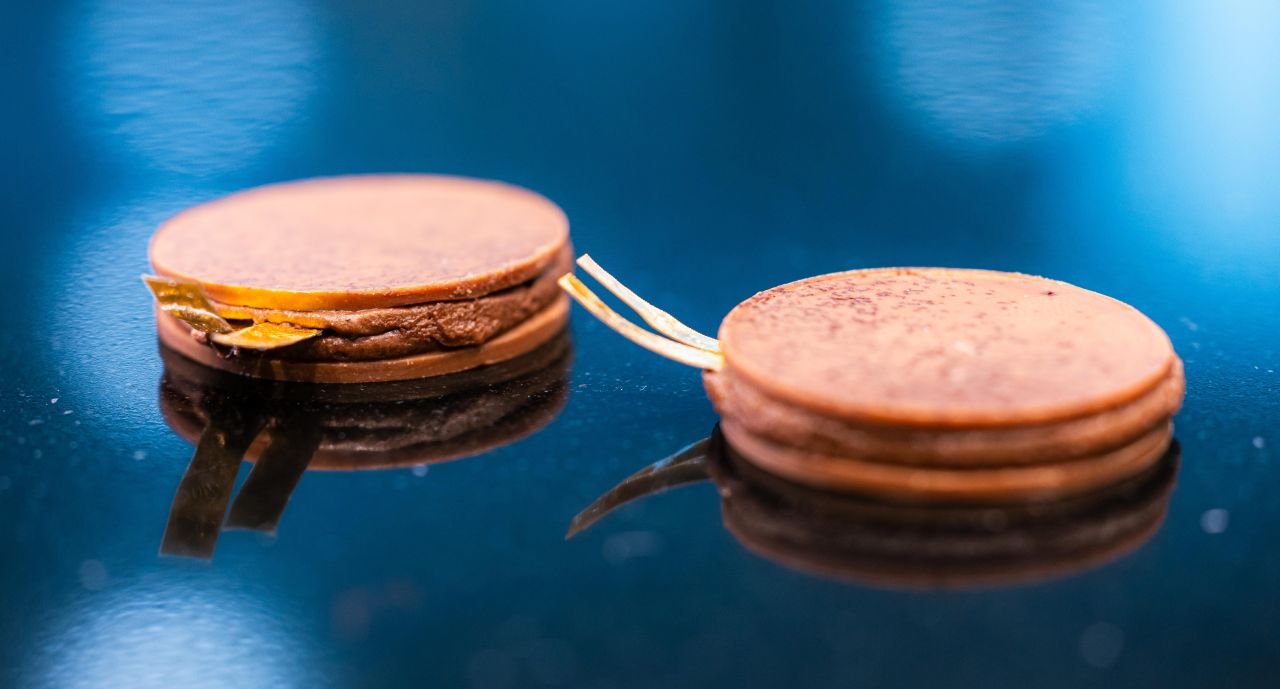 Swiss-Italian researchers create RoboCake - edible dark chocolate batteries