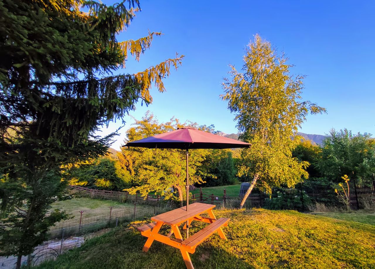 Symphony Guitar House- Back Garden