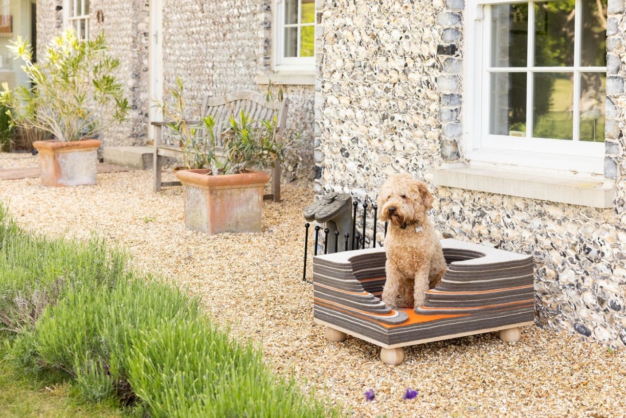 The Burrow Dog Kennel at Barkitecture