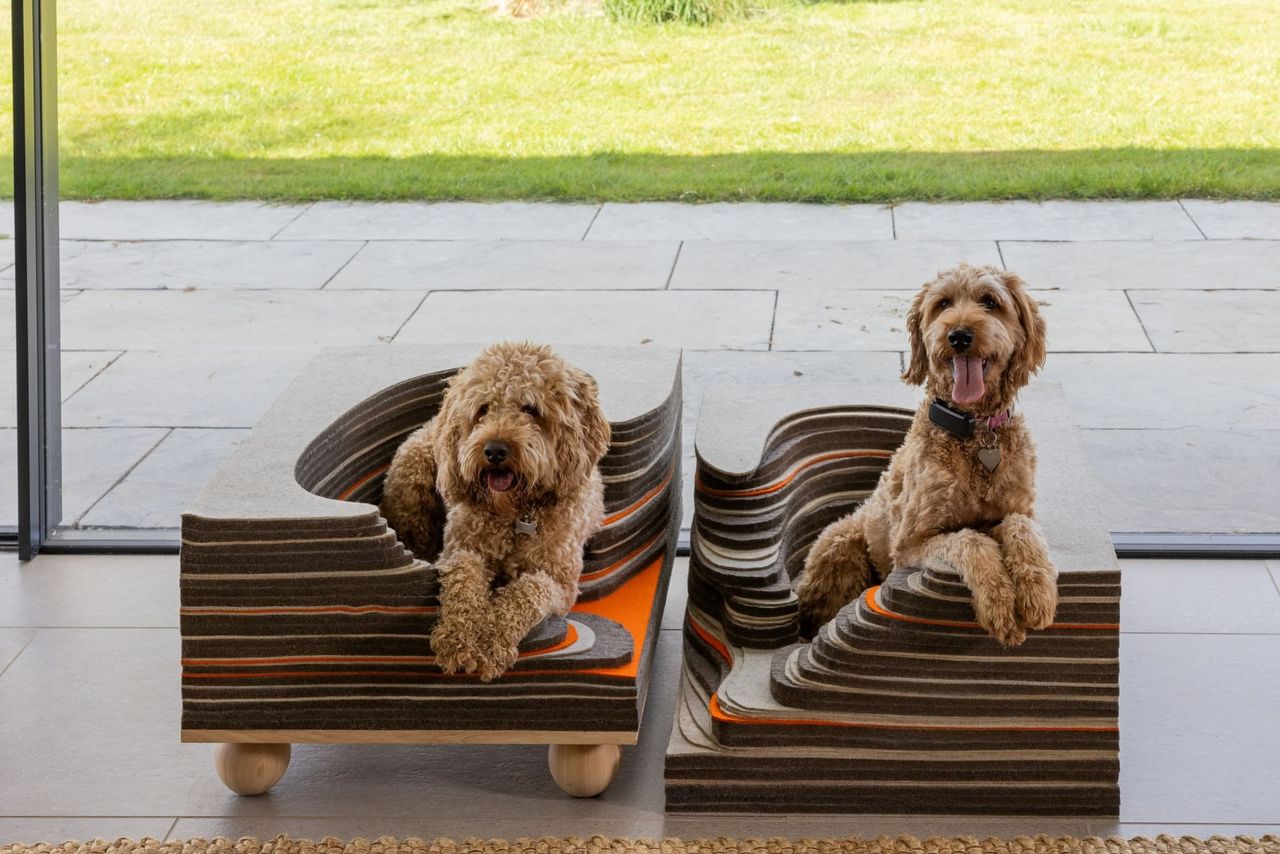 The Burrow Dog Kennel at Barkitecture