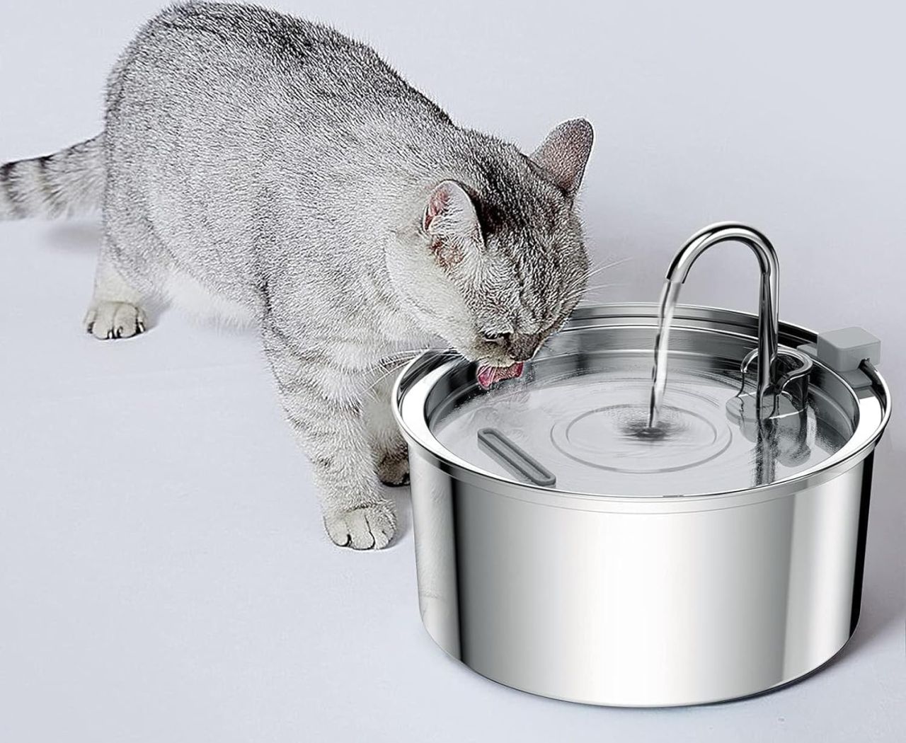 Tomxcute Cat Water Fountain