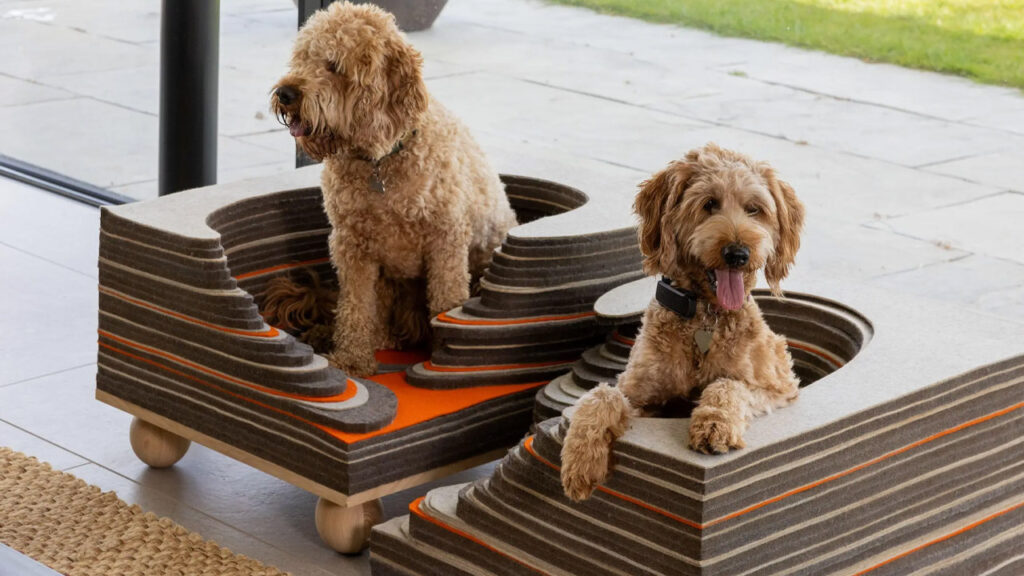 Top 10 dog kennel designs we saw at Goodwoof’s Barkitecture 2025