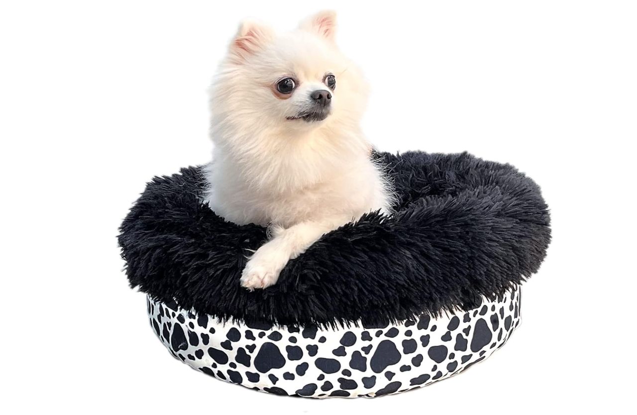 Washable Matching Calming Dog Bed