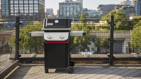 Looking for Classy Outdoor Gas Grill to Enjoy Lip-Smacking Barbecues? Here are Our Best Picks Weber Spirit E-210 Liquid Propane Gas Grill