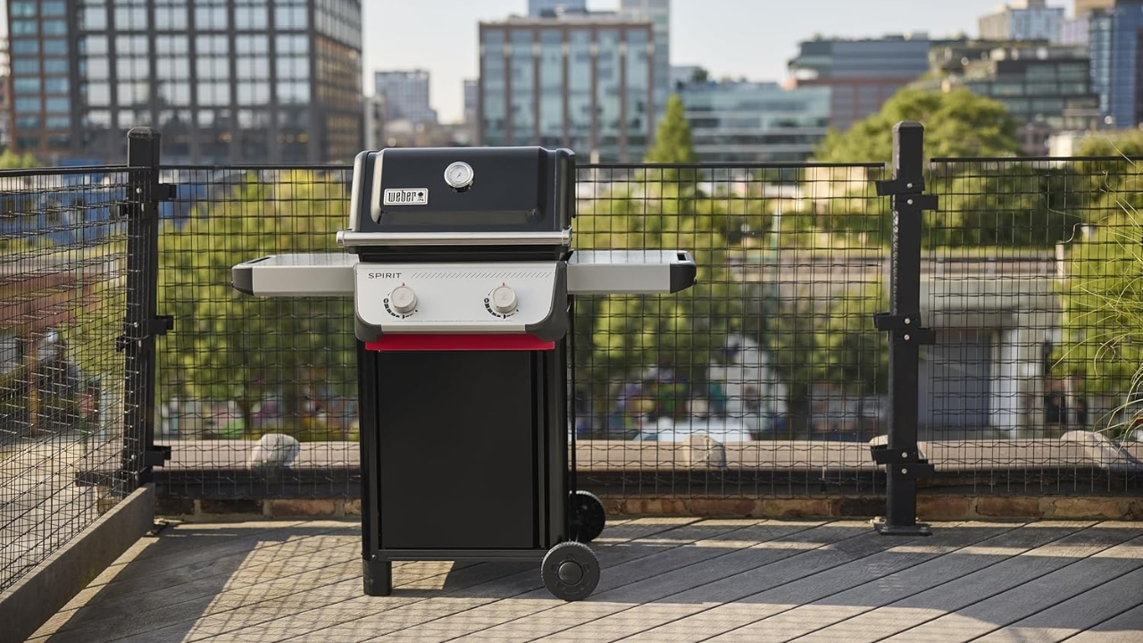Weber Spirit E-210 Liquid Propane Gas Grill