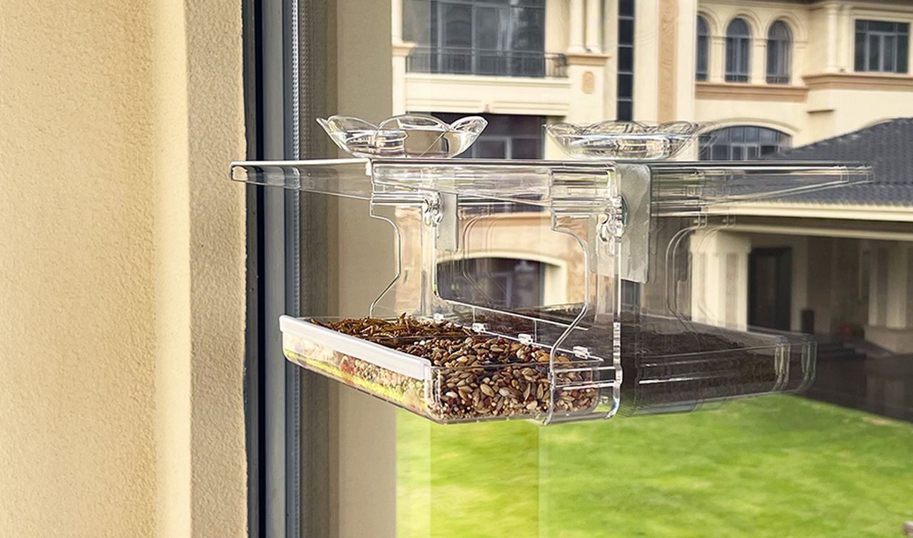 Window Bird Feeder