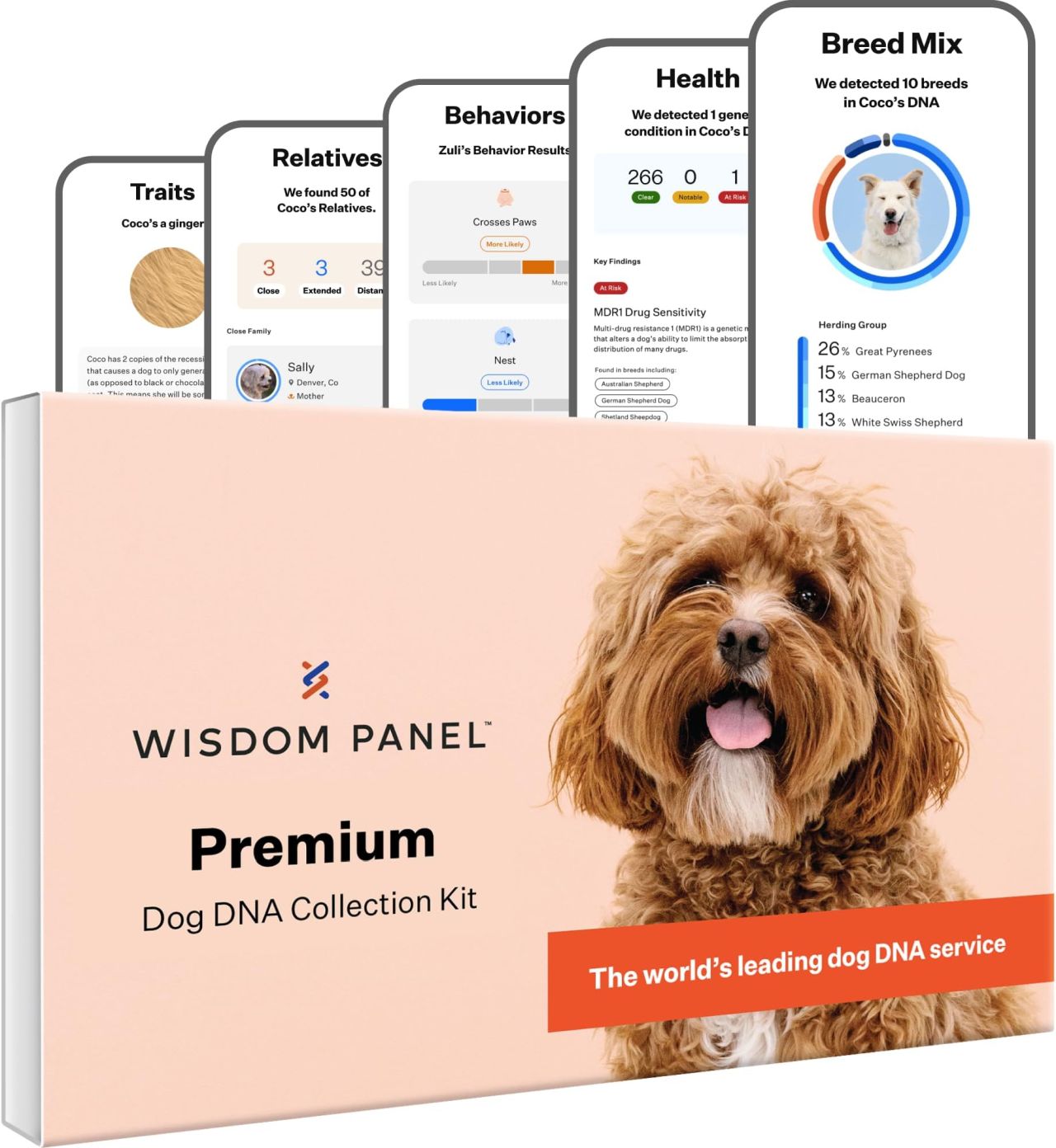 Wisdom Panel Premium Dog DNA Kit