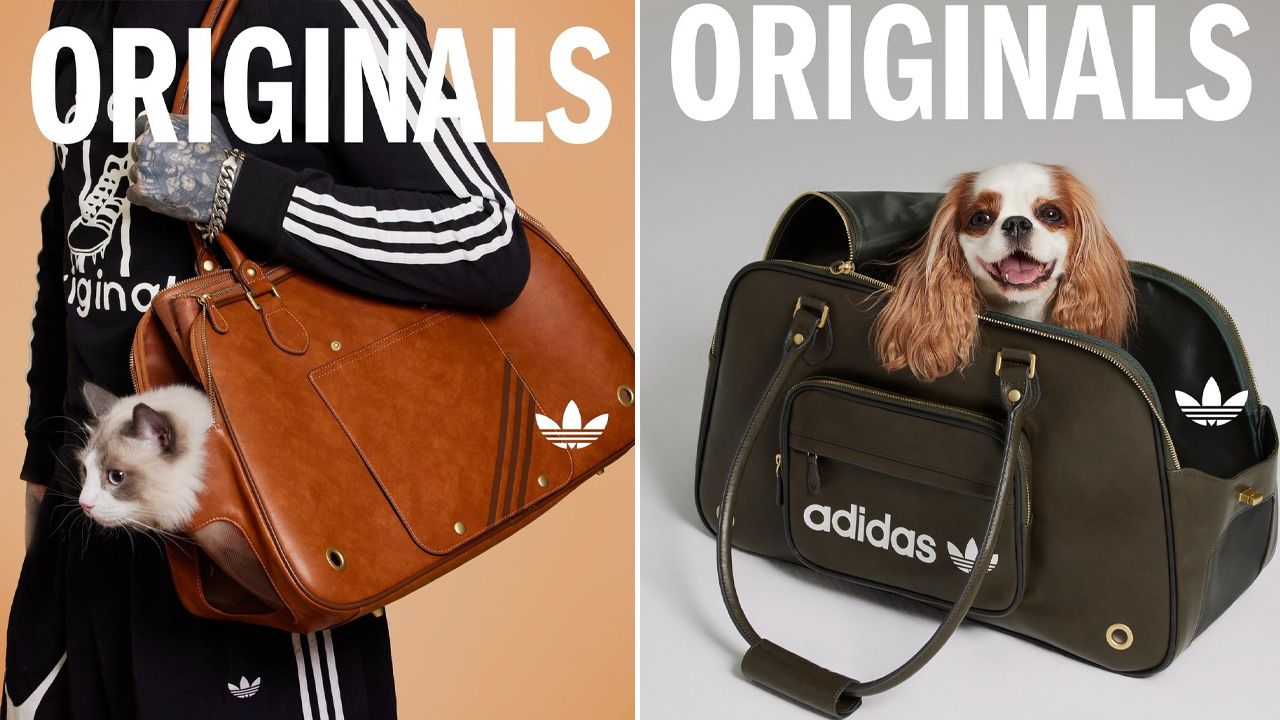 adidas Originals Pet Collection - 1