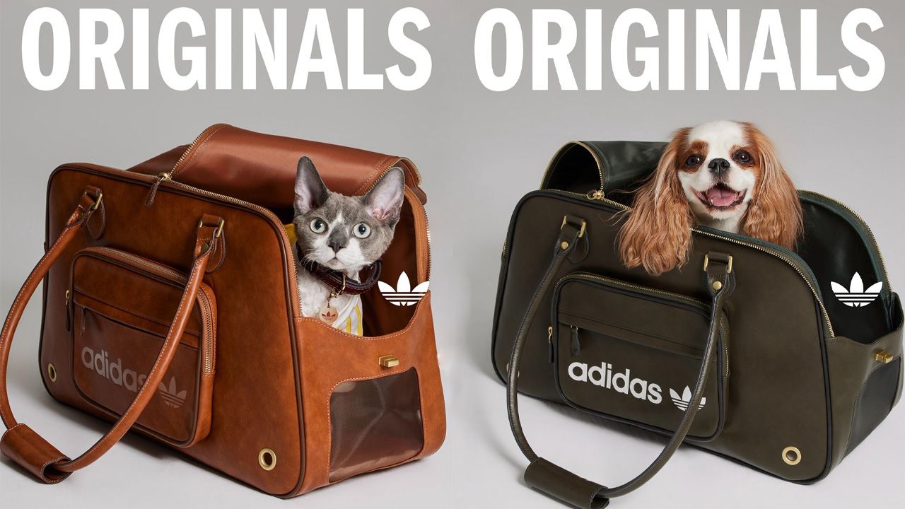 adidas Originals Pet Collection - 2