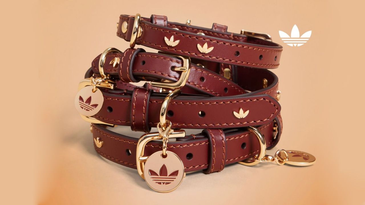 adidas Originals Pet Collection - cowhide collar and metal tags