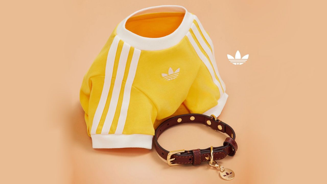 adidas Originals Pet Collection - t-shirt and collar