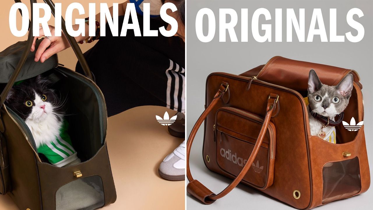 adidas Originals Pet Collection - travel bag
